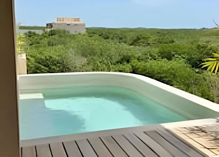 Mayan View